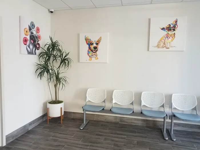 Small Friends Veterinary Clinic dr. Olga Korobkova Picture 8