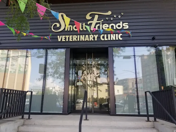 Small Friends Veterinary Clinic dr. Olga Korobkova Picture 6