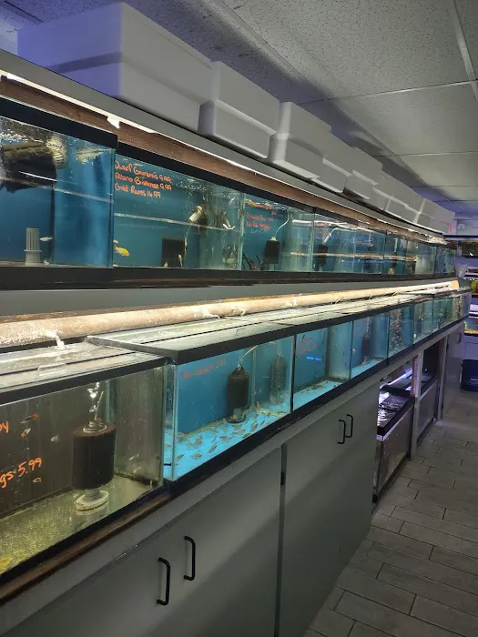 Fish Bowl Aquarium & Pet Mart Picture 2