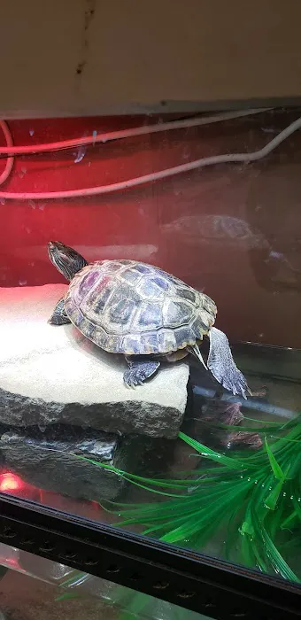 Fish Bowl Aquarium & Pet Mart Picture 1