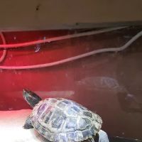 Fish Bowl Aquarium & Pet Mart ico