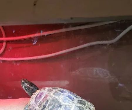 Fish Bowl Aquarium & Pet Mart
