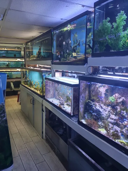 Fish Bowl Aquarium & Pet Mart Picture 6