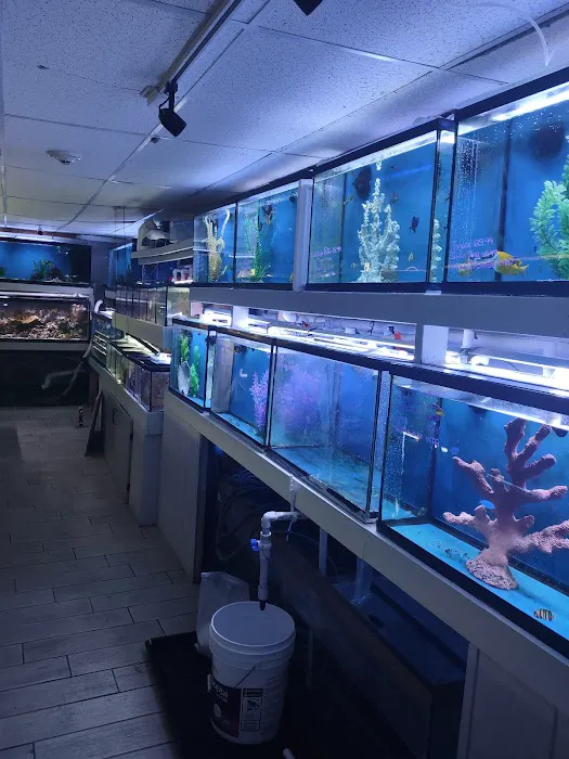 Fish Bowl Aquarium & Pet Mart Picture 3