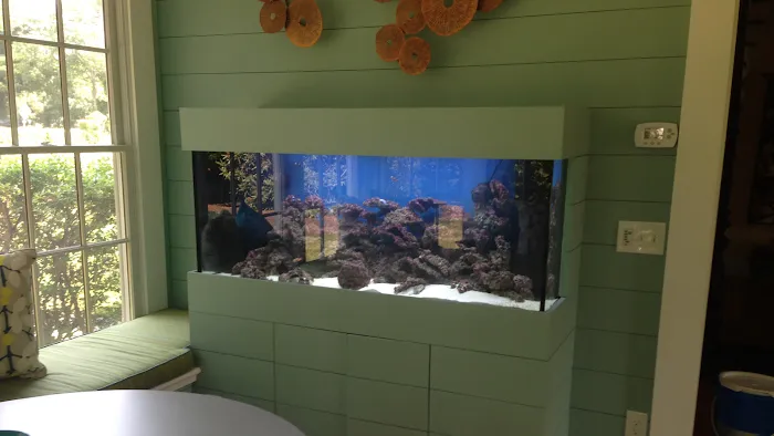 Fish Bowl Aquarium & Pet Mart Picture 10