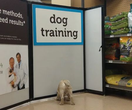Petco Vaccination Clinic