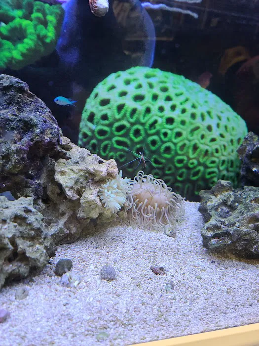 Petco Picture 5