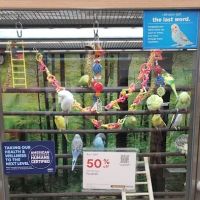 Petco ico