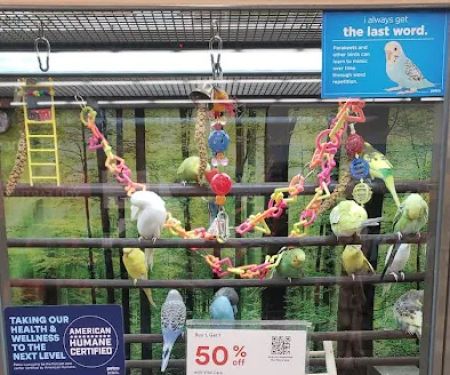 Petco