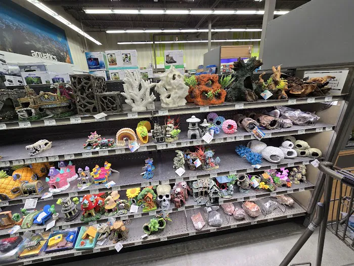 Petco Picture 10