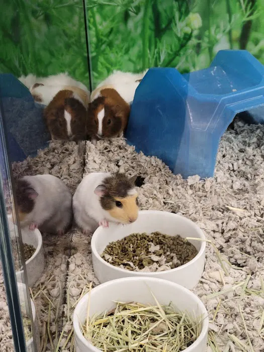 Petco Picture 2