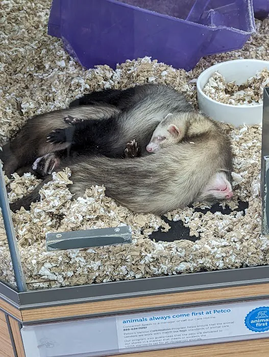 Petco Picture 9