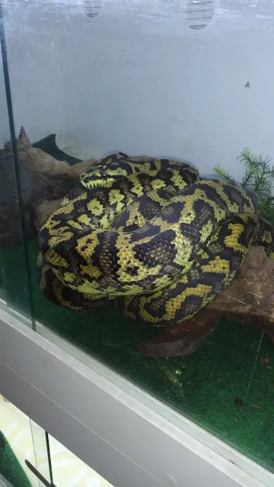 Creatures Plus Picture 2