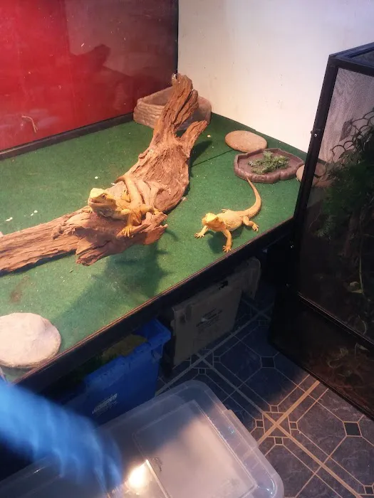 Creatures Plus Picture 6