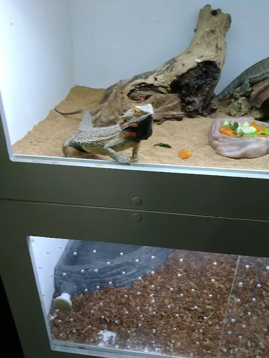 Creatures Plus Picture 4