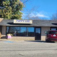Puppy Luv ico