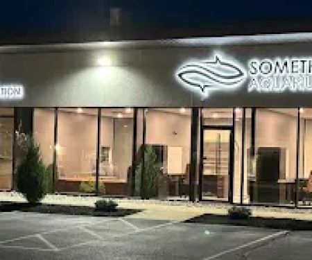 Something Fishy, Inc.