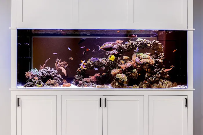 Something Fishy, Inc. Picture 6