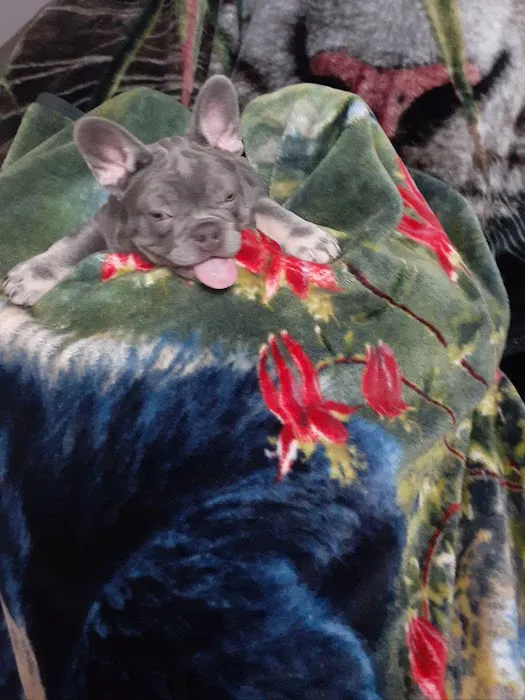 Petco Picture 9