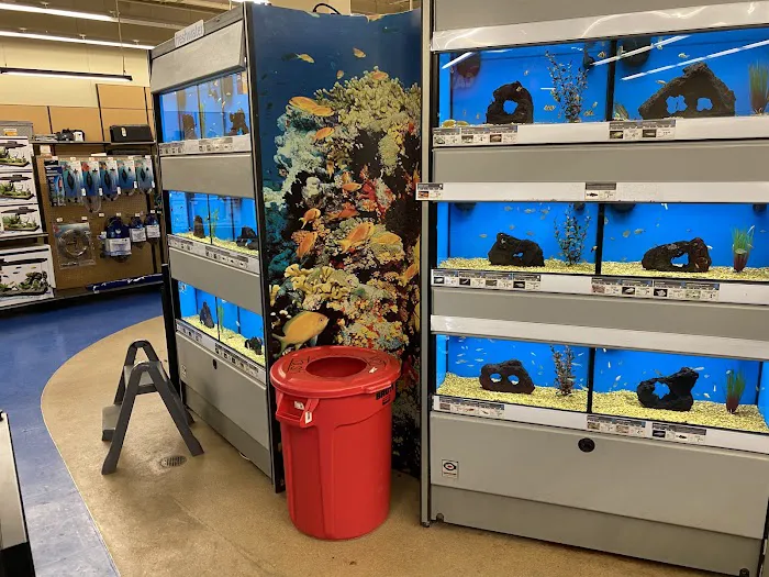 Petco Picture 6