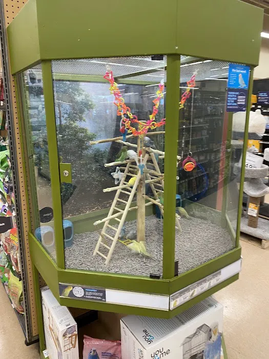 Petco Picture 2
