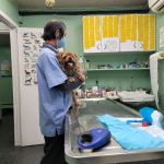 Tri-Boro Animal Hospital