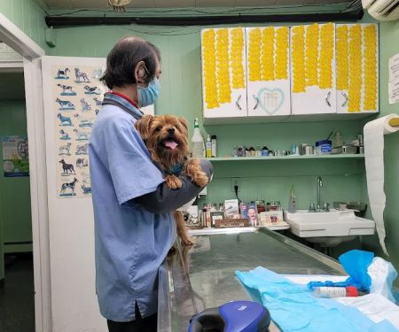 Tri-Boro Animal Hospital