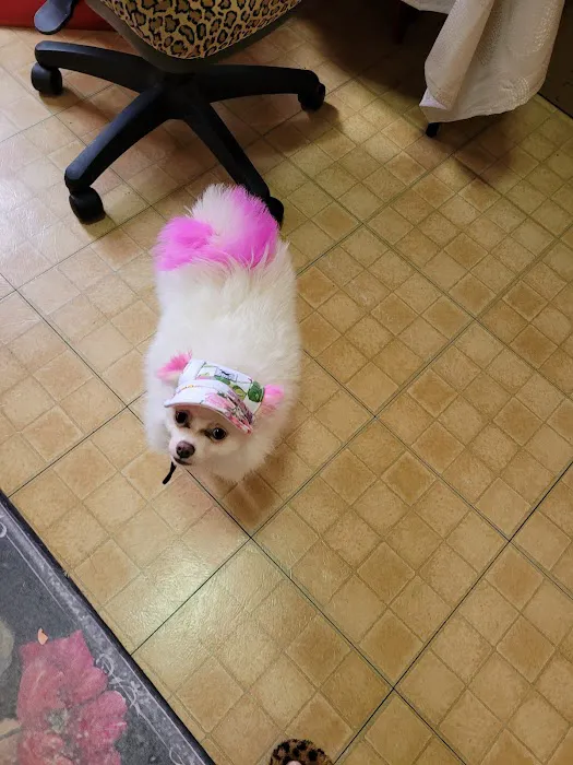 Tri-Boro Animal Hospital Picture 8