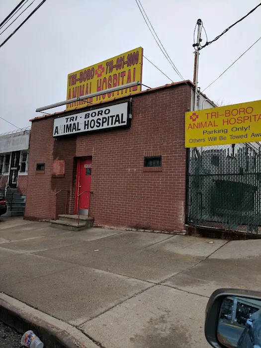 Bronx Animal Hospital / Bronx Vet Center Picture 3