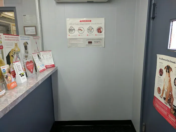 Bronx Animal Hospital / Bronx Vet Center Picture 4