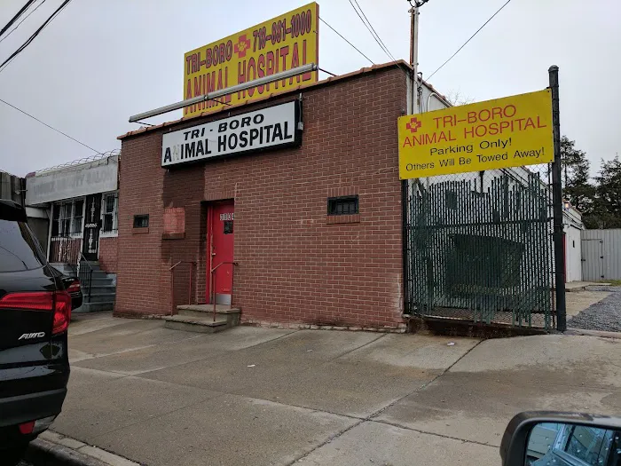 Bronx Animal Hospital / Bronx Vet Center Picture 6