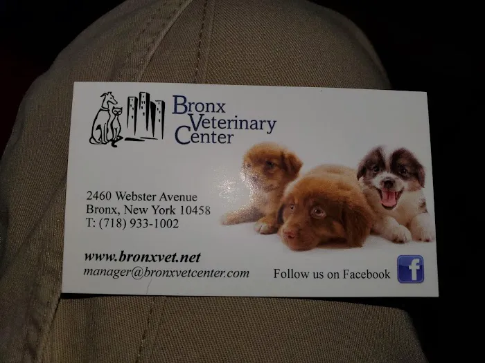 Grand Concourse Animal Hospital Picture 6