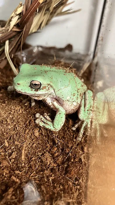 True Exotic Pets Picture 3