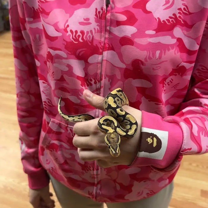 True Exotic Pets Picture 2
