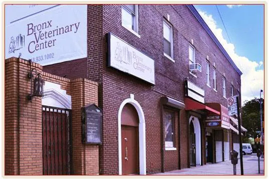 Bronx Veterinary Center Picture 8