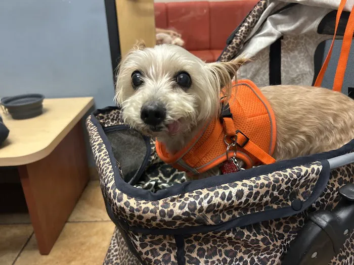 Bronx Veterinary Center Picture 5