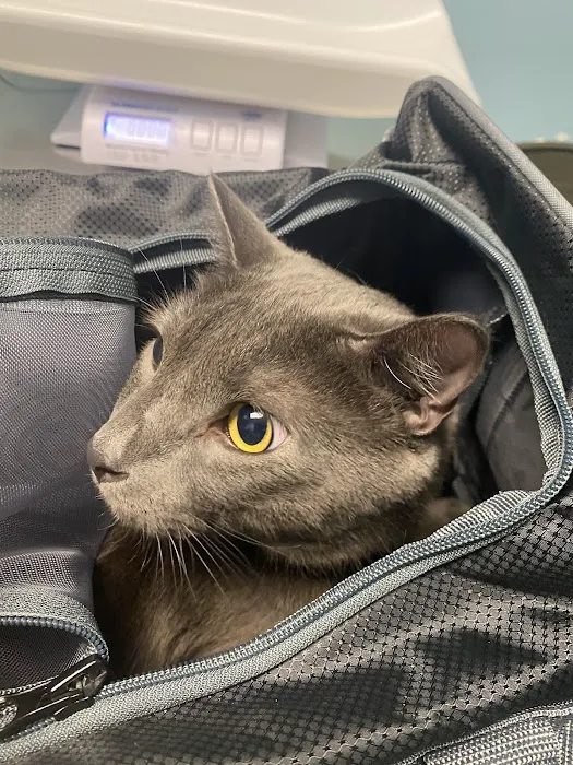 Bronx Veterinary Center Picture 6