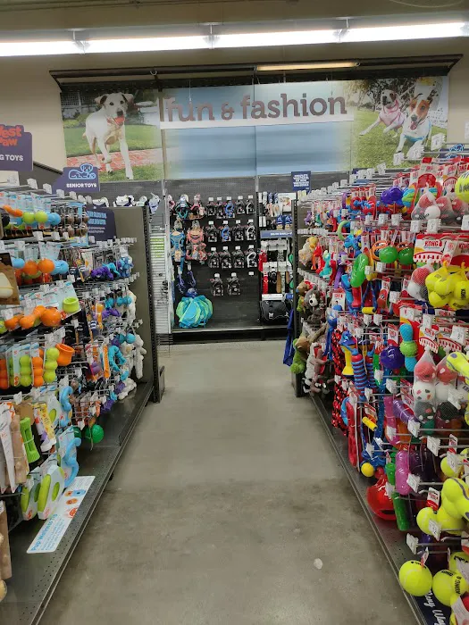 Petco Picture 1