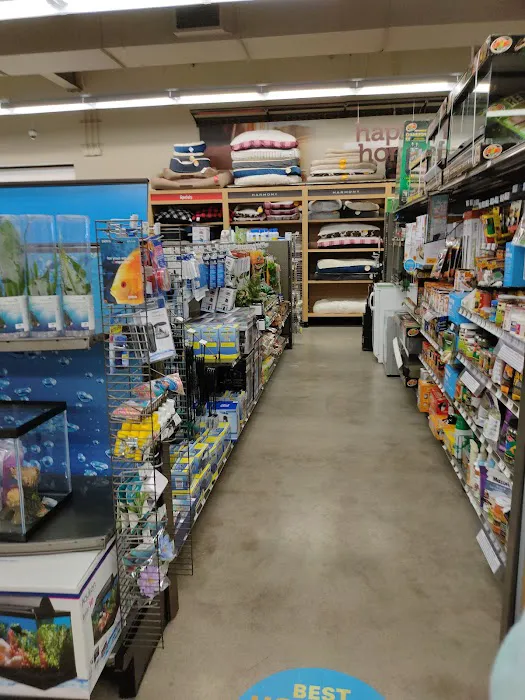Petco Picture 3
