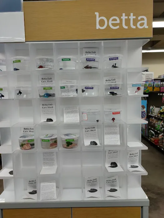 Petco Picture 4