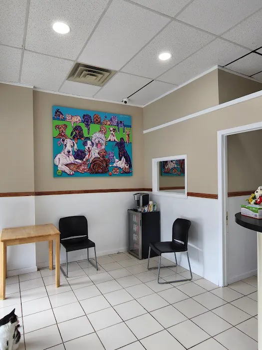 Modern Vet Care Picture 10