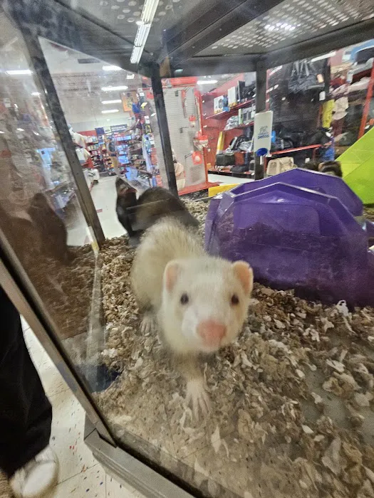 Petco Picture 2