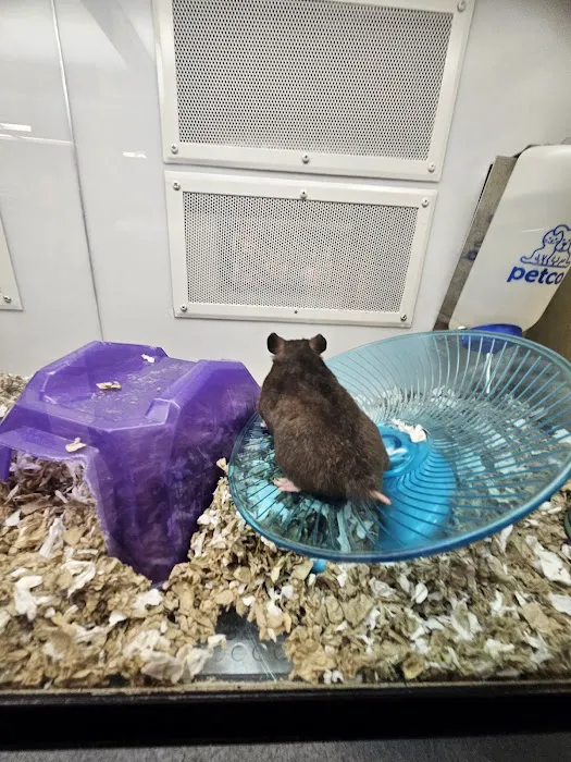 Petco Picture 1