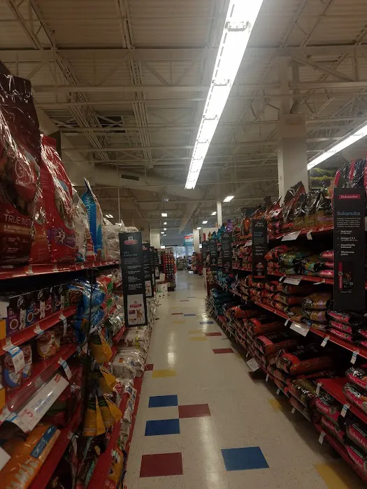 Petco Picture 8