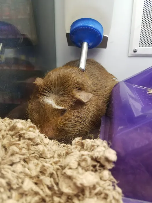 Petco Picture 6