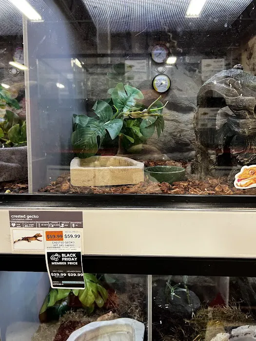 Petco Picture 10
