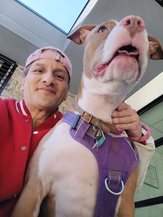ASPCA Community Veterinary Clinic - By Appointment Only Picture 9