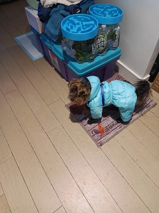 ASPCA Community Veterinary Clinic - By Appointment Only Picture 10