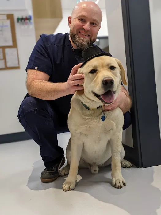 All Ears Veterinary Picture 2