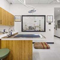 All Ears Veterinary ico